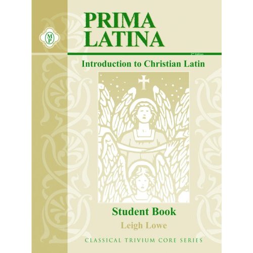 Latin Pronoun Worksheet